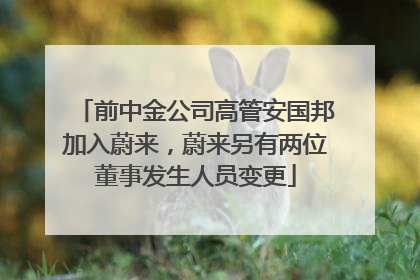 前中金公司高管安国邦加入蔚来，蔚来另有两位董事发生人员变更